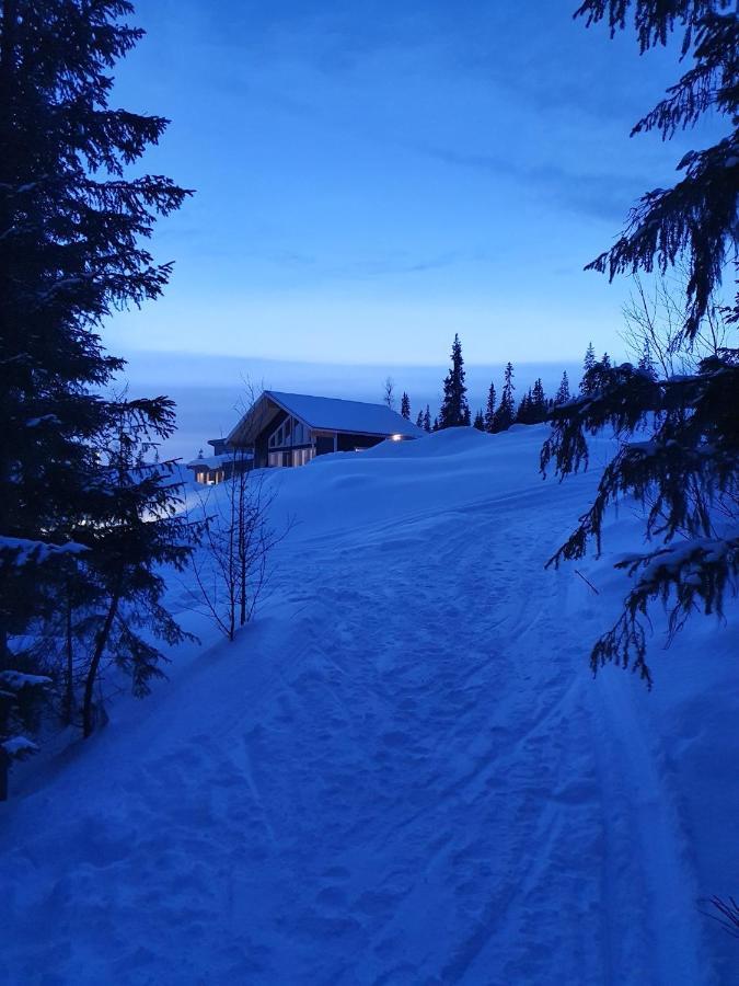 Taernaby Uphill Tärnaby Exterior foto